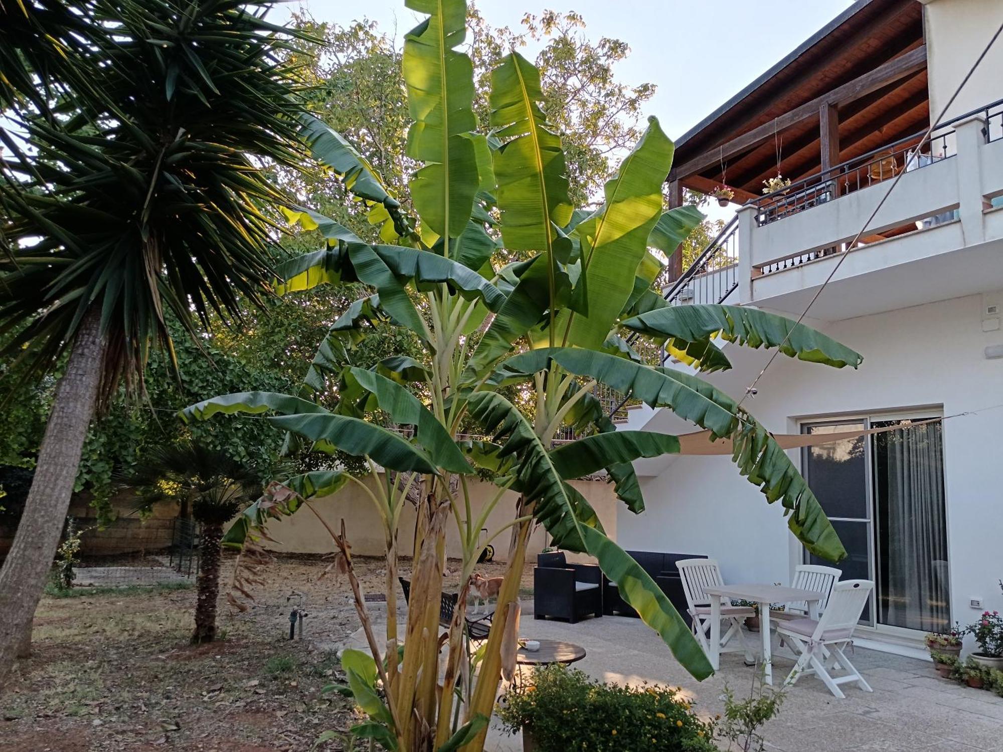 La Casa Del Noce Villa รุฟฟาโน ภายนอก รูปภาพ