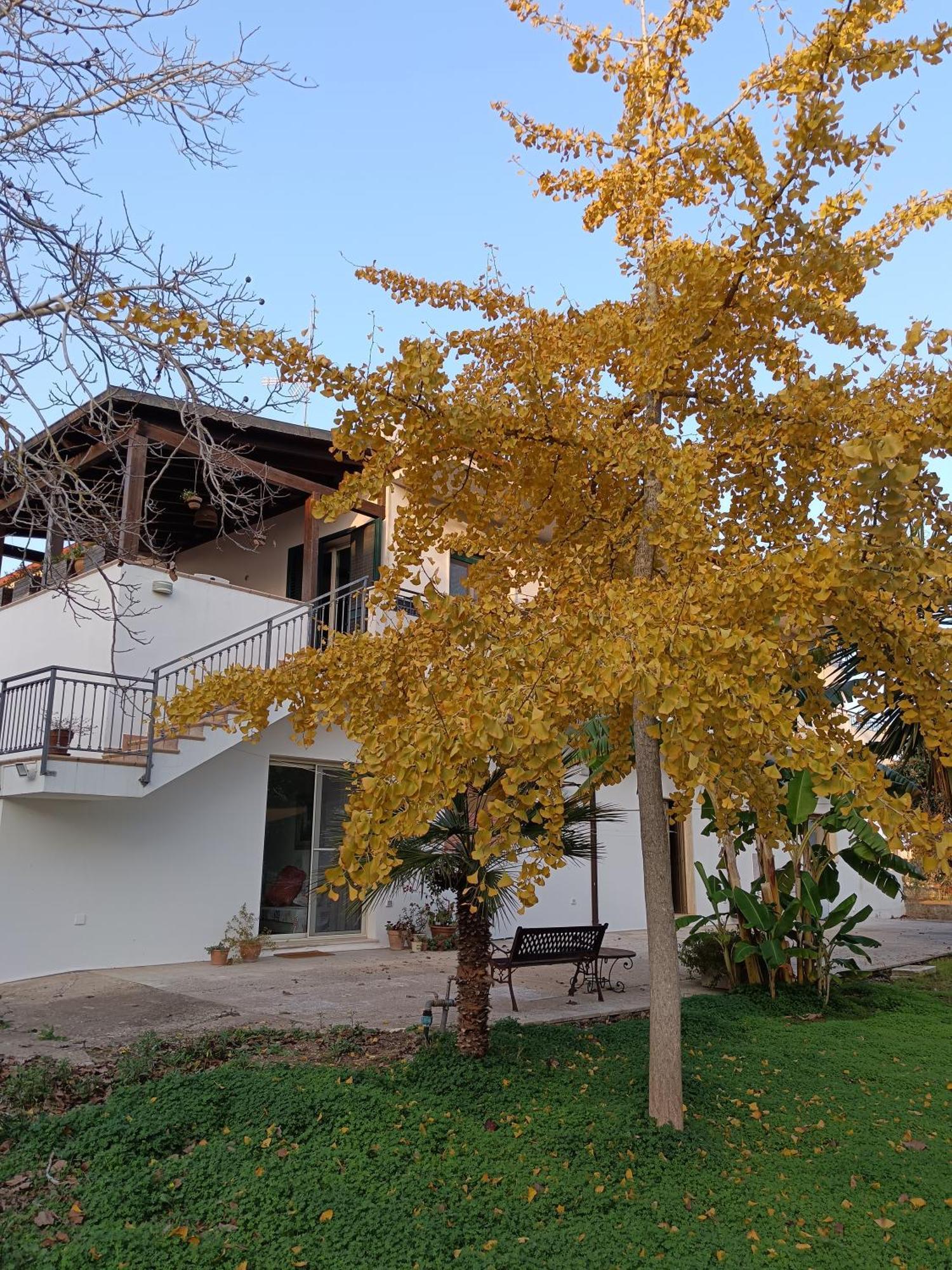 La Casa Del Noce Villa รุฟฟาโน ภายนอก รูปภาพ